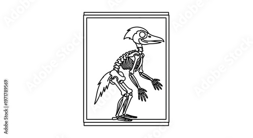 Dinosaur Skeleton Displayed in Museum Exhibit, Prehistoric Animal Fossil Illustration