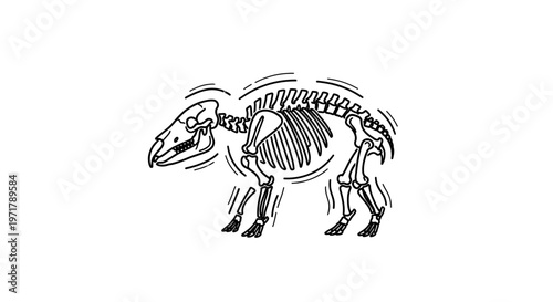 Dinosaur skeleton animation, prehistoric creature fossil, isolated on white background, line art