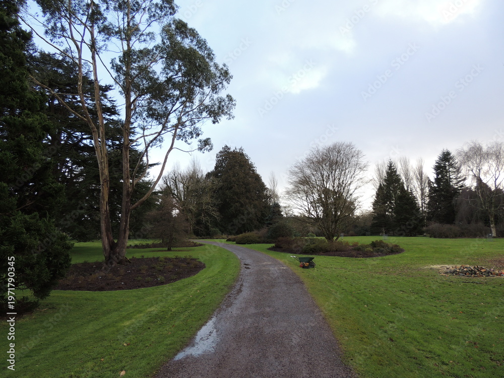 Fototapeta premium Blarney castle Estate - Ireland