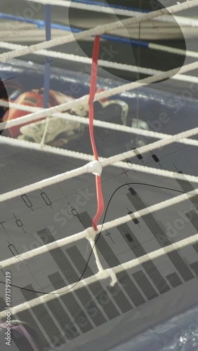 Vertical video: Camera pulling back showing red wire on rope grid, blue rails, overlays mapping gym