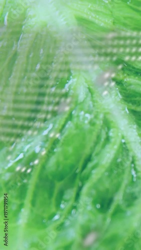 Vertical video: Leaf moving near LED grid, camera panning causing code overlay, drops for foodtech