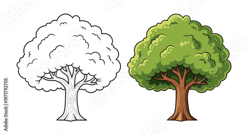 Cartoon Tree Outline and Colored Version Side by Side