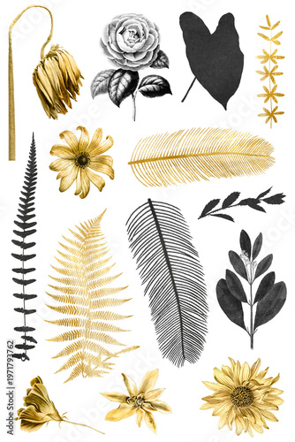 Golden black png flowers leaf vintage metallic sticker collection