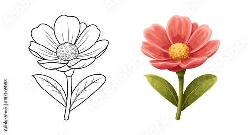 Coloring Page Outline of a Flower Next to a Realistic Watercolor Painting of the Same Flower
