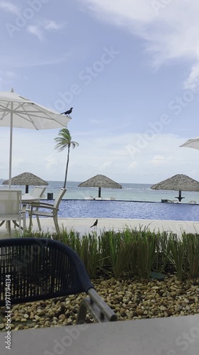 Vertical view of a pool in a tropical beach.