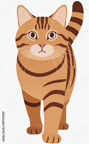 Cat walking towards the viewer with distinct stripes and attentive expression in a simple setting