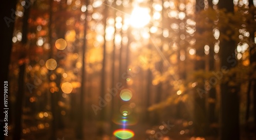 Sunlight through autumn forest trees with bokeh and lens flare
