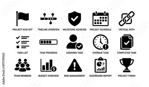 Project management icons set: schedule, risk, milestones, tasks, reports