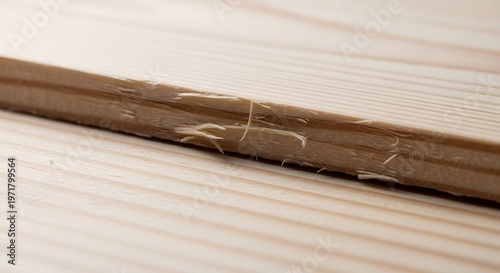 Close-up of a wooden board with rough, uneven edges and visible wood fibers