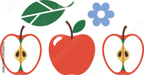 Red apple elements set with slices flower and leaf minimal flat vector illustration with grainy texture isolated on white background food collection