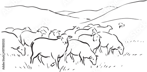 Vector line art illustration of a flock of sheep grazing in a meadow, minimalist pastoral landscape