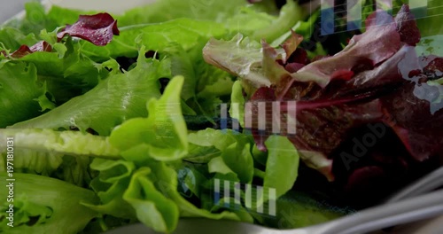 Food lettuce mix in bowl, camera panning causing overlay bars, utensils sliding, showing texture