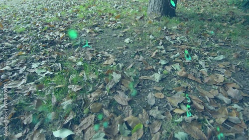 Camera moving forward neon AR glyphs floating pulsing clustering over leaf litter to show interface