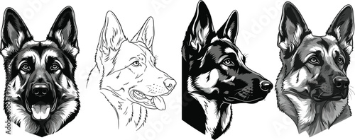 German shepherd dog head illustration collection featuring realistic sketch line art and detailed canine portrait variations isolated vector set
