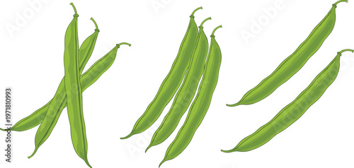 Green Beans Vegetable Set Hand Drawn Vector Illustration, Fresh Organic Food Collection, Healthy Farm Produce Isolated on White Background