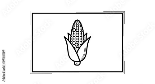 Hand-drawn corn cob icon, simple line art illustration of fresh organic maize on white background