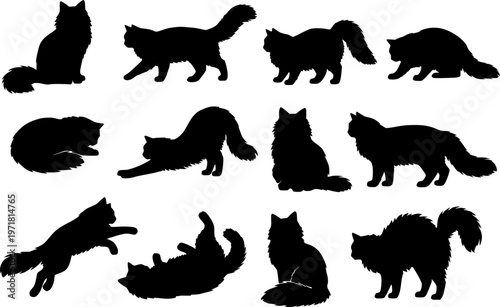 Norwegian Forest Cat poses collection silhouette vector illustration