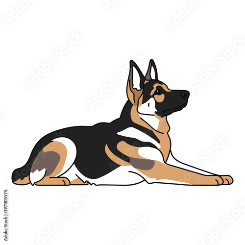 A german shepherd dog lying down and looking to the side