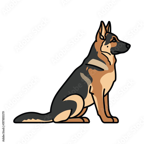 A german shepherd dog sitting on a white background