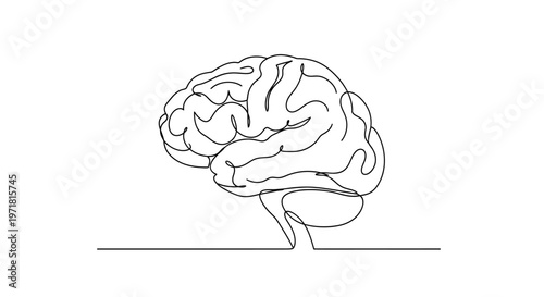 Continuous line drawing of a human brain, symbolizing thought, intelligence, and creativity.