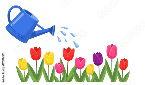 Cartoon watering can sprinkling tulip flowers colorful garden spring vector illustration