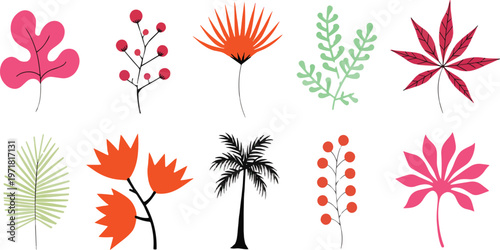 Collection of stylized botanical and palm tree leaf