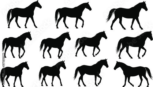 Horse silhouettes set in various walking and standing poses, black animal collection for equestrian design, wildlife illustration and farm or ranch themed projects