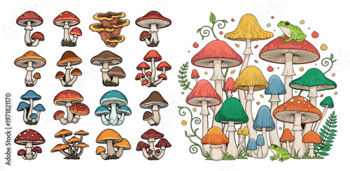 Whimsical illustration of various colorful mushrooms and fungi in different shapes and sizes