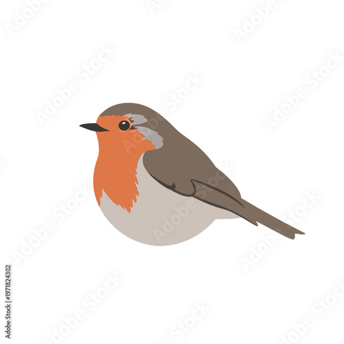 A charming illustration of a plump robin bird with a vibrant orange breast and brown plumage, set against a clean white background