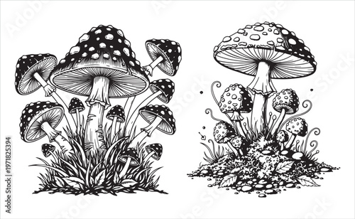 Detailed illustration of amanita muscaria mushrooms in natural habitat with grass and undergrowth