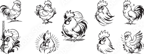 Rooster chicken line icons set farm poultry sketches with standing crowing poses vector pack