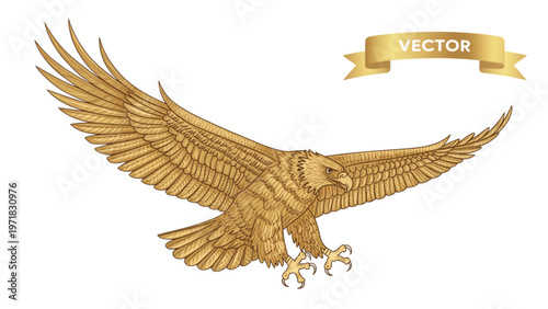 A majestic golden eagle in mid-flight with outstretched wings and detailed feathering Vector