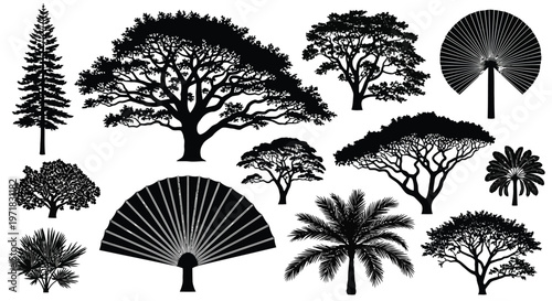 Intricate patterns of decorative floral and star designs