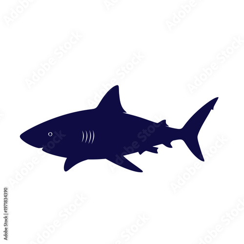 The Underwater Predator Silhouette: A captivating image of a shark, its dark silhouette standing out against the tranquil backdrop of the ocean, hinting at the powerful presence beneath the waves.