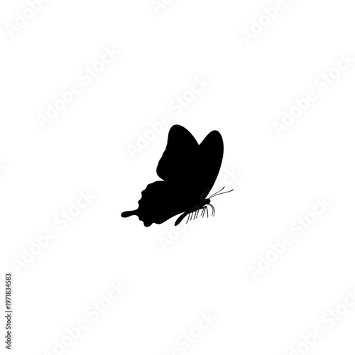 Enigmatic Butterfly Silhouette: A captivating silhouette of a butterfly takes flight against an uncluttered backdrop, evoking a sense of grace and mystery.