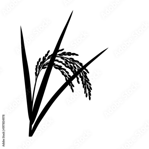 Rice Silhouette: An elegant monochrome depiction of a rice plant, showcasing the intricate detail of the grain and leaves, embodying growth and sustenance.