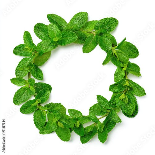 Fresh green mint leaves arranged in circular wreath frame on white