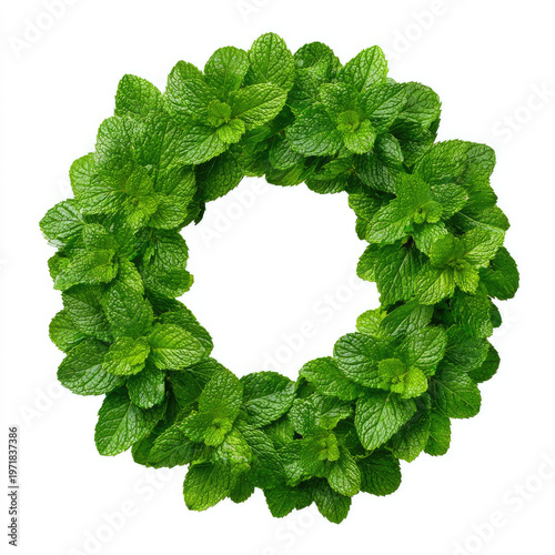 Mint leaf wreath frame with fresh green leaves on white background
