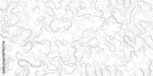 Abstract topographic map pattern with wavy lines and contours on white background