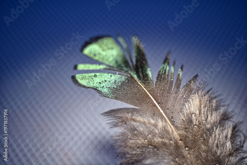 The abstract concept of a simple subject