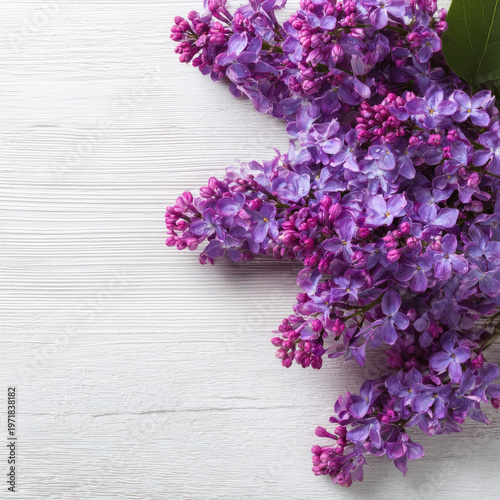 Beautiful purple lilac flowers white wooden background with fresh