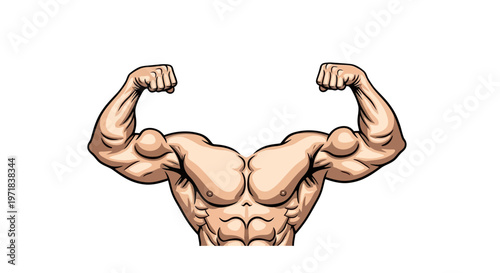 Close-up of strong biceps muscles, flexed and on display against a bright white background, showcasing anatomical detail in a detailed, cartoon-like style that conveys power and physical