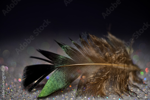 The abstract concept of a simple subject