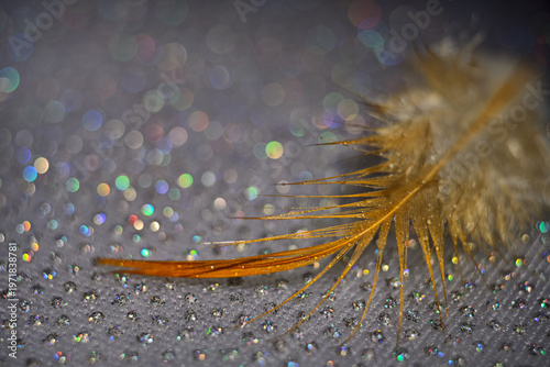 The abstract concept of a simple subject