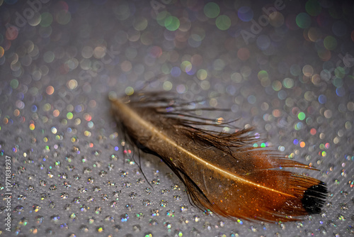 The abstract concept of a simple subject