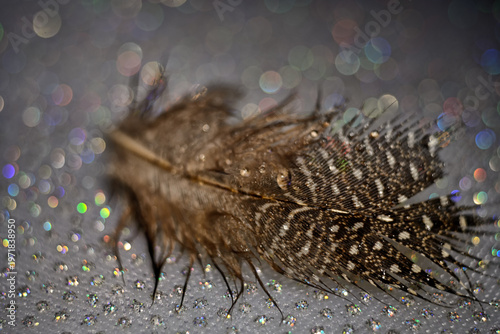 The abstract concept of a simple subject