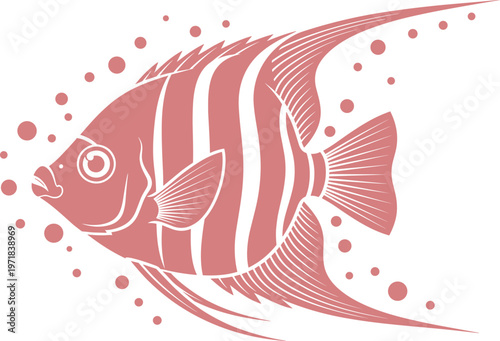 Red angelfish vector illustration with striped pattern, tropical marine life design, elegant aquatic fish artwork isolated on clean background