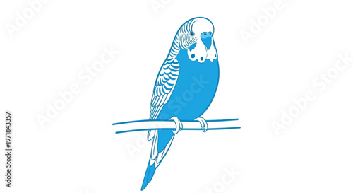 Blue budgerigar parrot illustration perched on branch