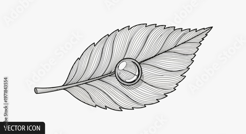Detailed leaf line art illustration with a shiny dewdrop