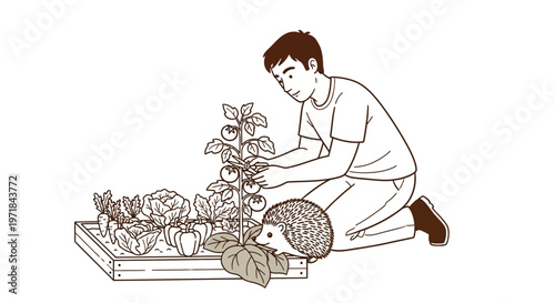 Man gardening in raised bed with vegetables and a hedgehog
